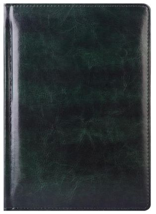 Ежедневник недатированный (бренд InFolio) коллекция Voyage, формат А5, цвет зеленый, серебристый обрез