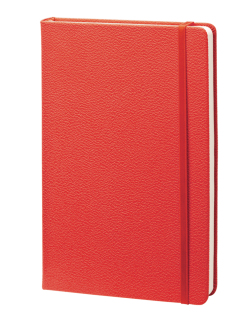 Записная книжка с резинкой (бренд InFolio) коллекция Lifestyle, блок в клетку, формат А5, цвет красный