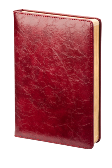 Ежедневник датированный (бренд InFolio) коллекция Challenge, 14х20 см, цвет бордовый