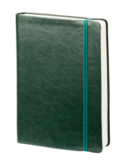 Ежедневник датированный (бренд InFolio) коллекция Elegance, формат А5, твердая обложка с резинкой, цвет салатовый