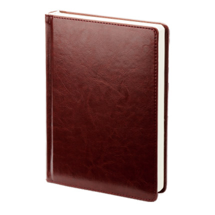Ежедневник датированный (бренд Infolio) коллекция Berlin, размер 14х20 см, цвет коричневый