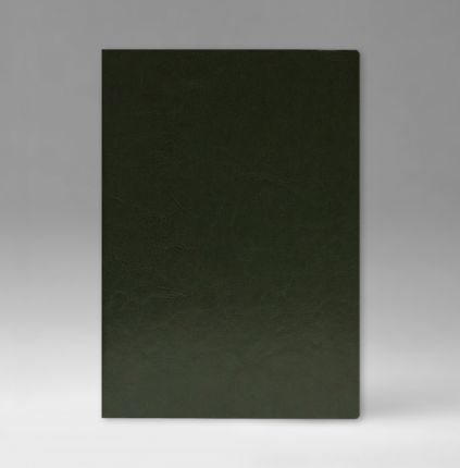 Ежедневник датированный 15х21 см, серия Классик, материал Небраска, (арт. 351), переплёт премиум, цвет зеленый