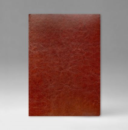 Ежедневник датированный 15х21 см, серия Классик, материал Небраска, (арт. 351), переплёт премиум, цвет коричневый
