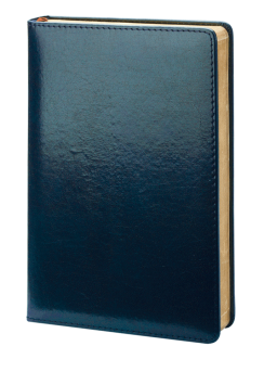 Ежедневник недатированный (бренд InFolio) коллекция Britannia, формат А5, цвет синий