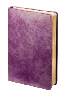 Ежедневник недатированный (бренд InFolio) коллекция Challenge, формат А5, цвет фиолетовый