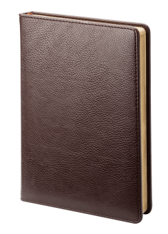 Ежедневник недатированный (бренд InFolio) коллекция Windsor, размер 14х20 см, цвет коричневый