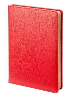 Ежедневник недатированный (бренд InFolio) коллекция Windsor, размер 14х20 см, цвет красный
