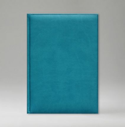 Ежедневник недатированный 15х21 см, серия Уникум, материал Принт, (арт. 378), цвет голубой