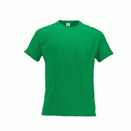 Футболка мужская, модель 02 Galant, цвет зелёный, размер L
