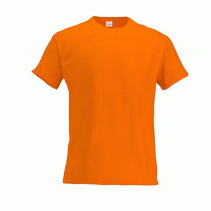 Футболка детская, модель 06 Kids, цвет оранжевый, размер 10 лет